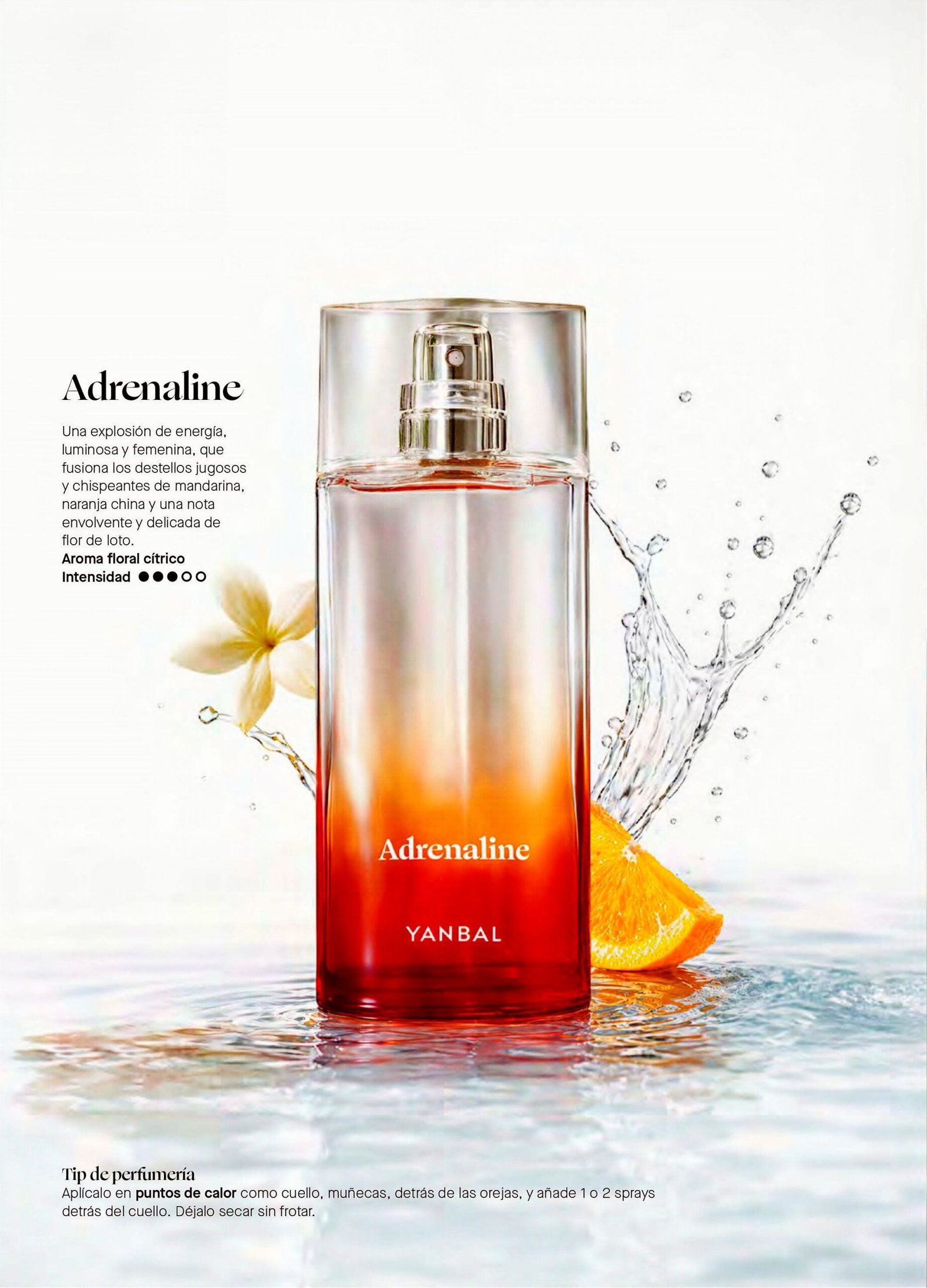 Adrenaline: Energía y Elegancia